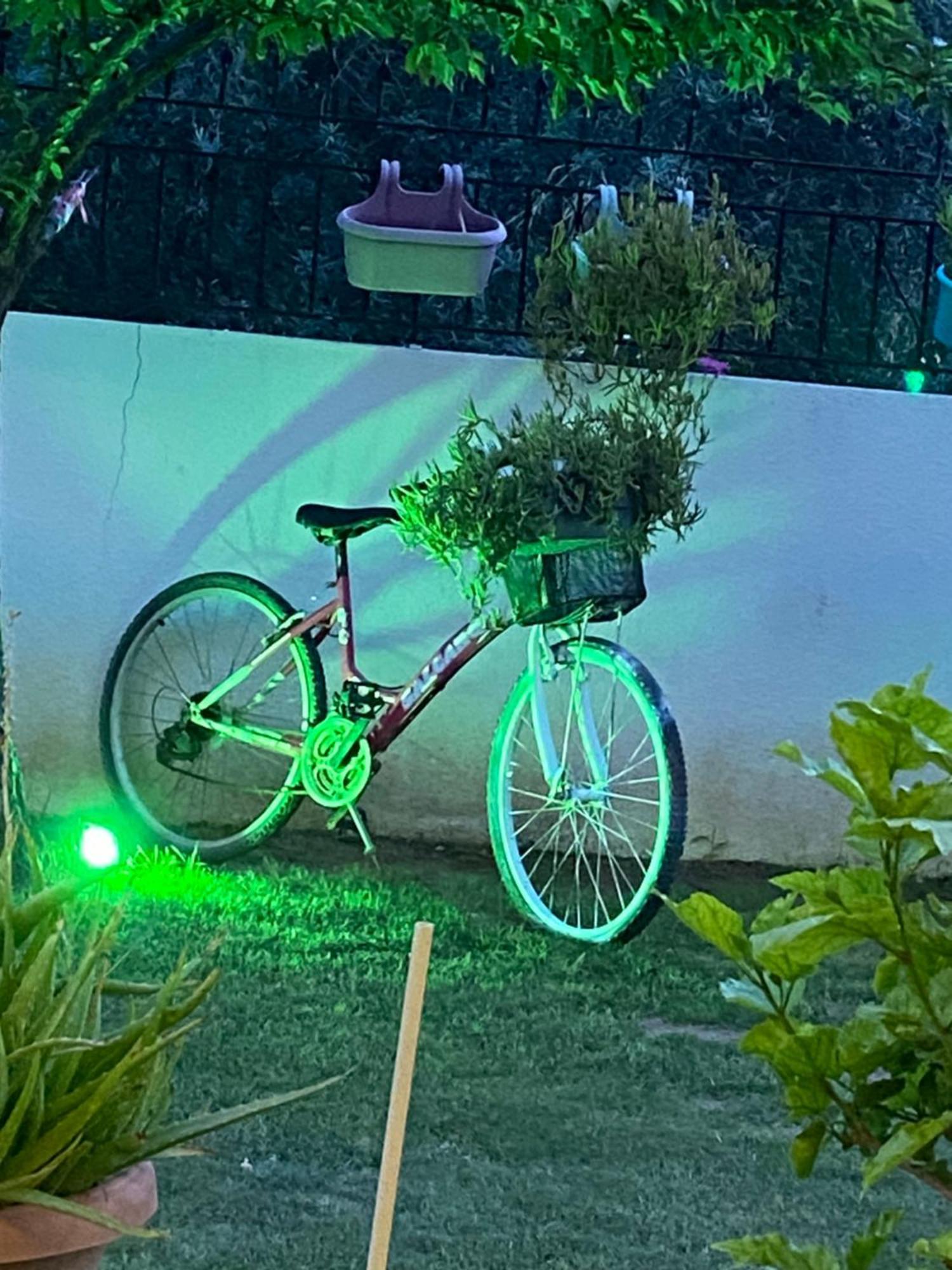 Villa Inci Çeşme Exteriör bild